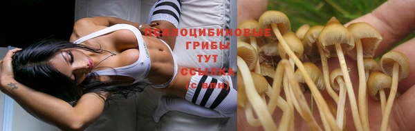 jwh Бородино